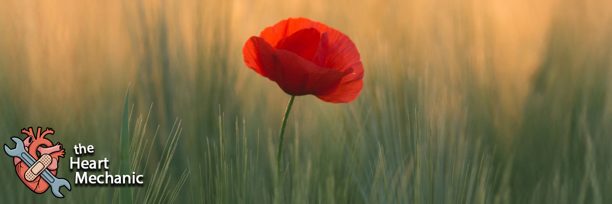 The Heart Mechanic - Jack Aspen Harper Blog